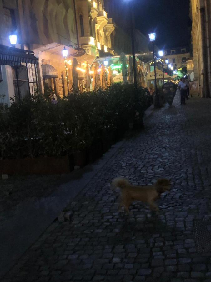 Charming Quiet Studio Coltea Old Town In The Centre Of Bucharest Luaran gambar